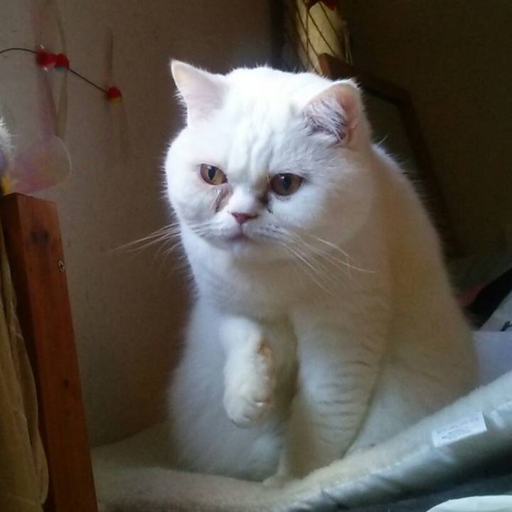 89abb44a f98c 4a60 a681 6ff50107b91d