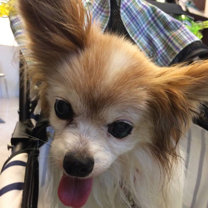 89abf1a2 5cbb 4431 a742 b13bf135a18f