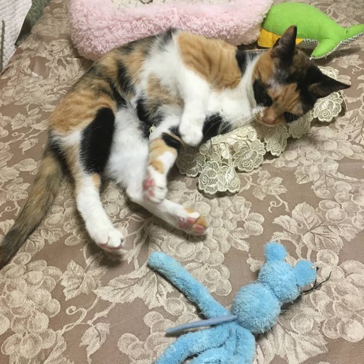 89adb495 d291 420b a45b 6d1a04fe1db9