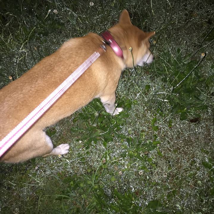 89ae3786 7284 433c 9456 11c7cde4618b