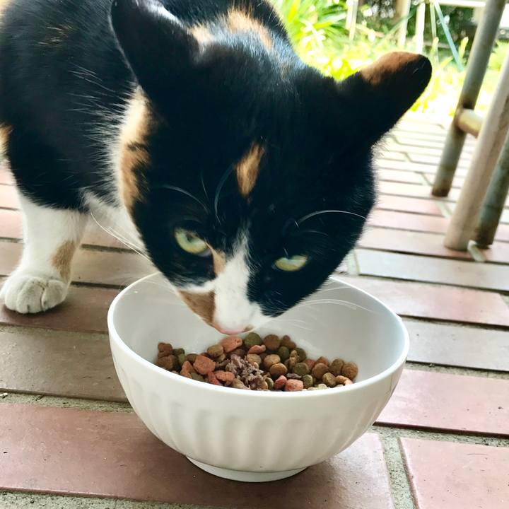 89ae519e b830 42a5 9e75 6895828bdfe2