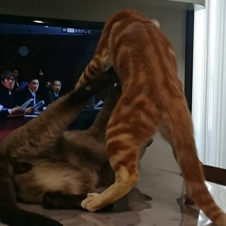 89af163b e829 48da 89a2 9e7e68bb5359