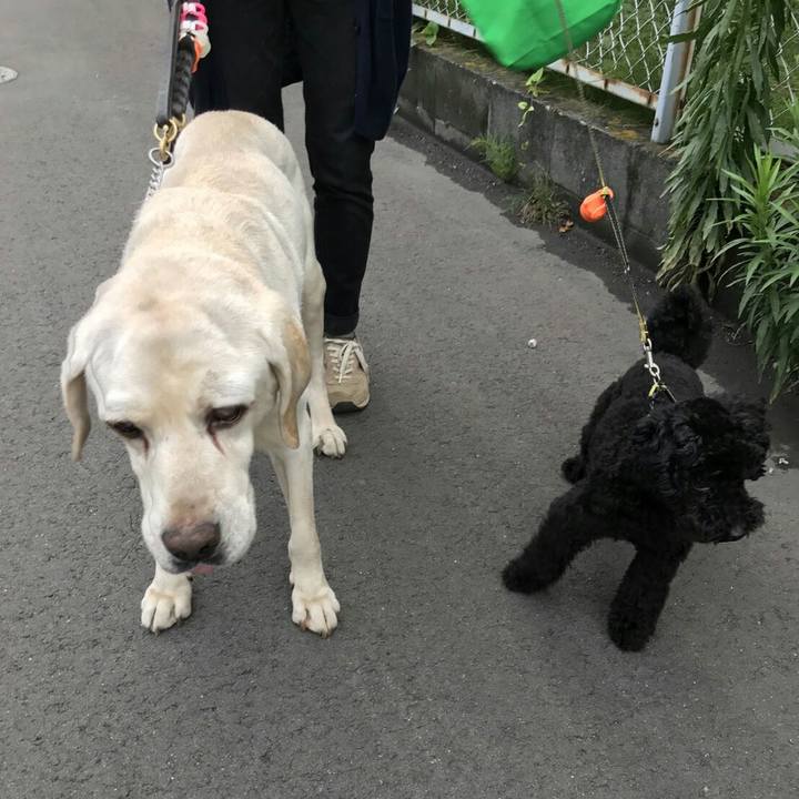 89b05a11 279b 4351 b10a af8c9445f413