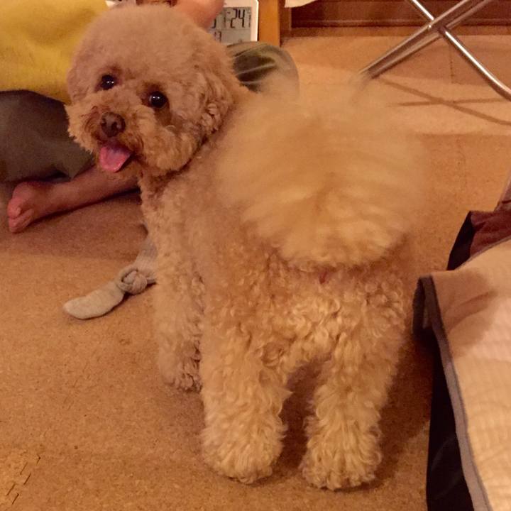 89b077fa f59e 4ba0 a309 cc3f1d6f6d78