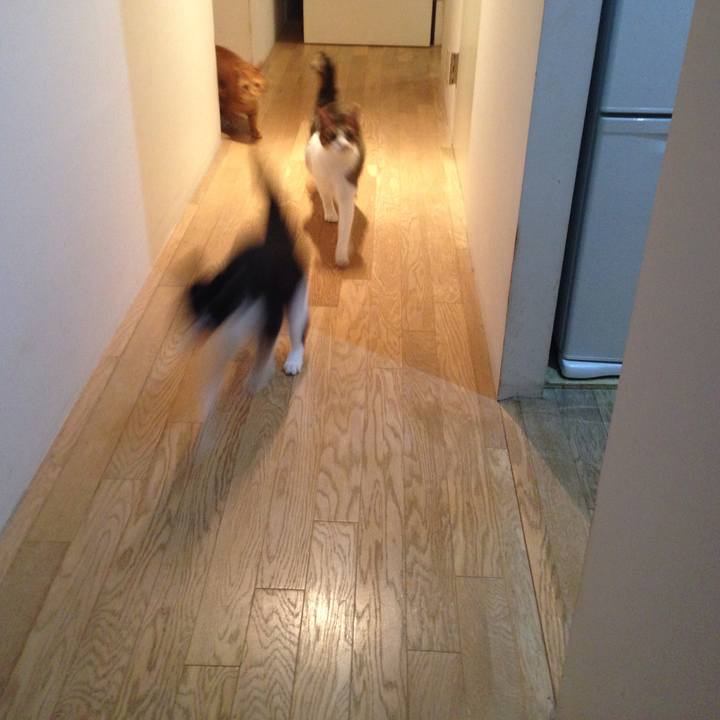 89b0d937 b9e5 4f2b b3ae 21c79f606bc0