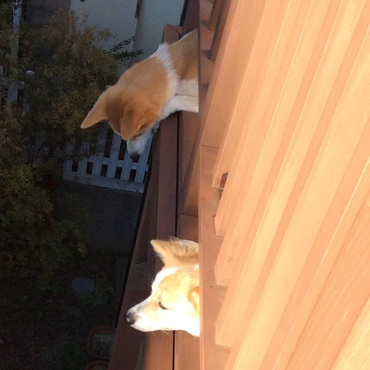 89b163ae b57f 45ae a57b 65880411a2f4