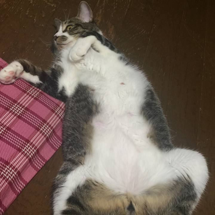 89b1f6a8 2622 4417 9433 d4846ef14224