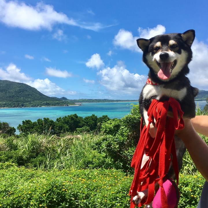 89b24508 7102 40d8 82f6 ccd8b429d505