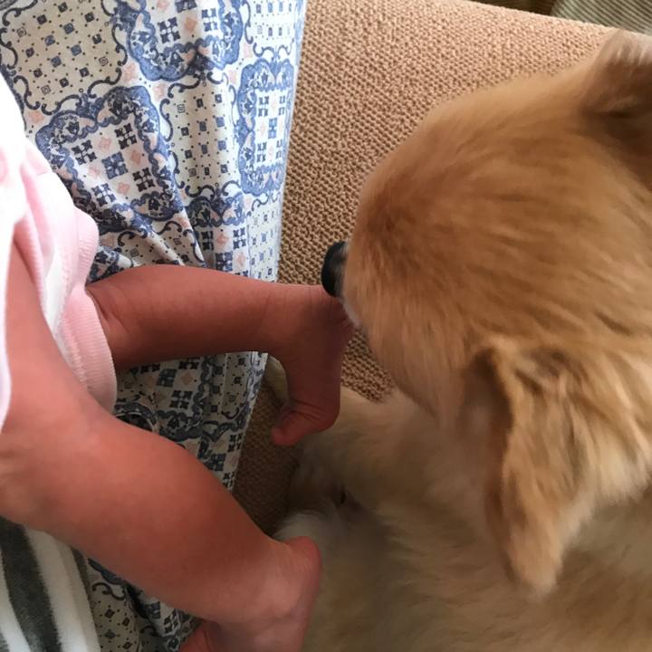 89b2dae7 3f21 42ca a7f6 0cde5d694dbb