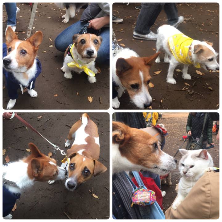 89b3035b 7a9a 4e2c 9a66 41e5472c5d77