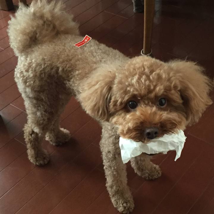 89b310ad c22f 4447 988f 777c72776a09