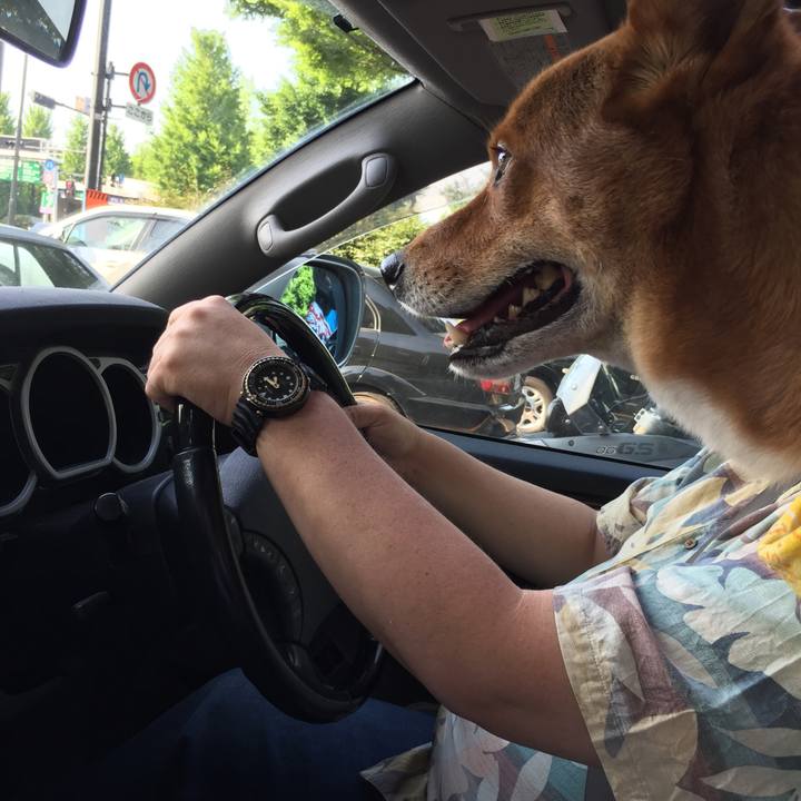 89b4decb 4569 41f9 873c c5bb90ce56c5