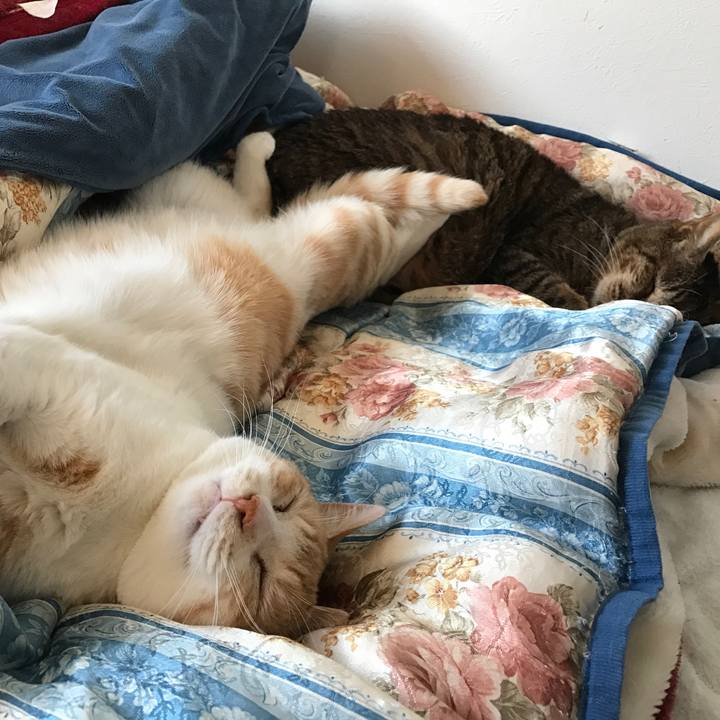 89b504ff a6f8 437a 84c2 18aff074d274