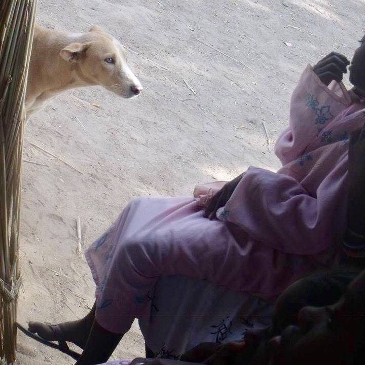 89b5123d 9aab 46e3 9400 8d0a8c01a059