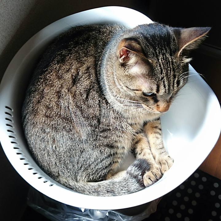 89b55c7a 945b 4a64 9294 129ece501c82