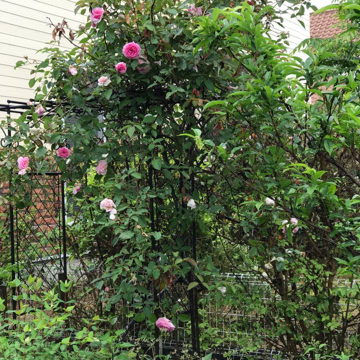 89b58d4e 608f 42ca 92cf 479118d6b244