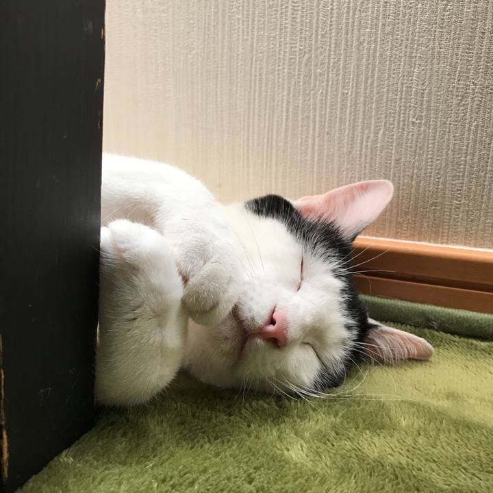 89b5cc1e 1b1f 4df0 97ef 8adff7cc7bb8