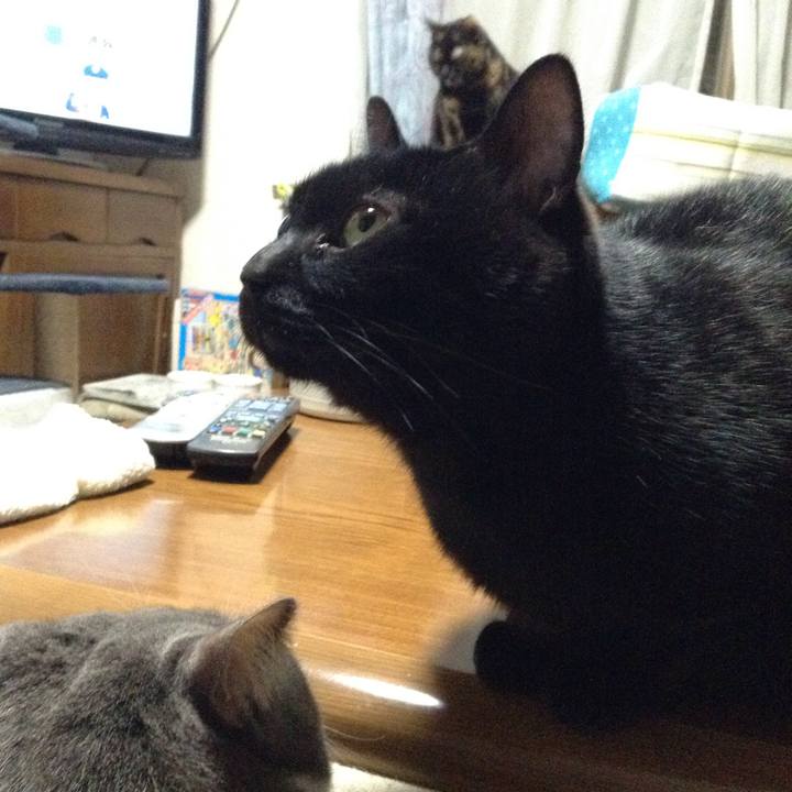 89b604d2 7b25 4662 a606 bcad713d0ce6