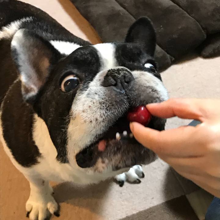 89b6172f db84 48fd 9c6a 449eb11c2280