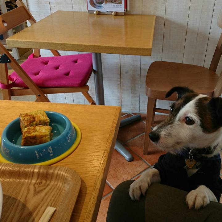 89b61e84 b084 4ec2 ad71 663aac51fb2c