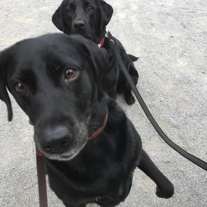 89b62400 8462 4ca7 9b79 6ddd118ed84c