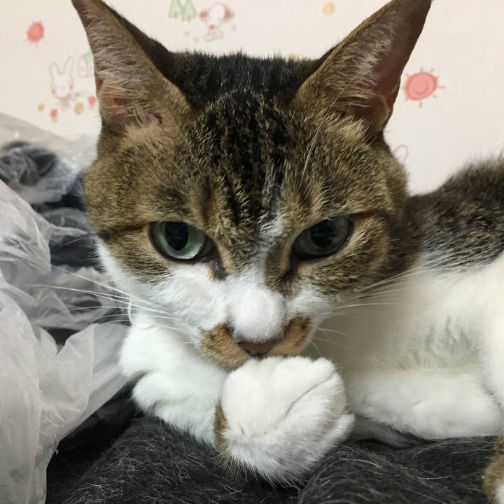 89b6a0c5 e0e9 4ab9 9d26 9ac6858c5cbe