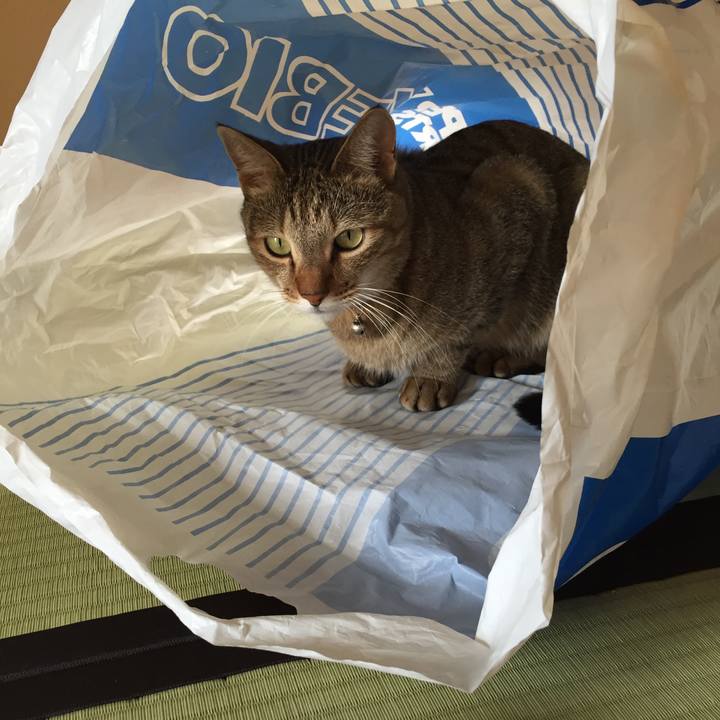 89b6b351 ad39 4052 a508 0e89745d1ac5