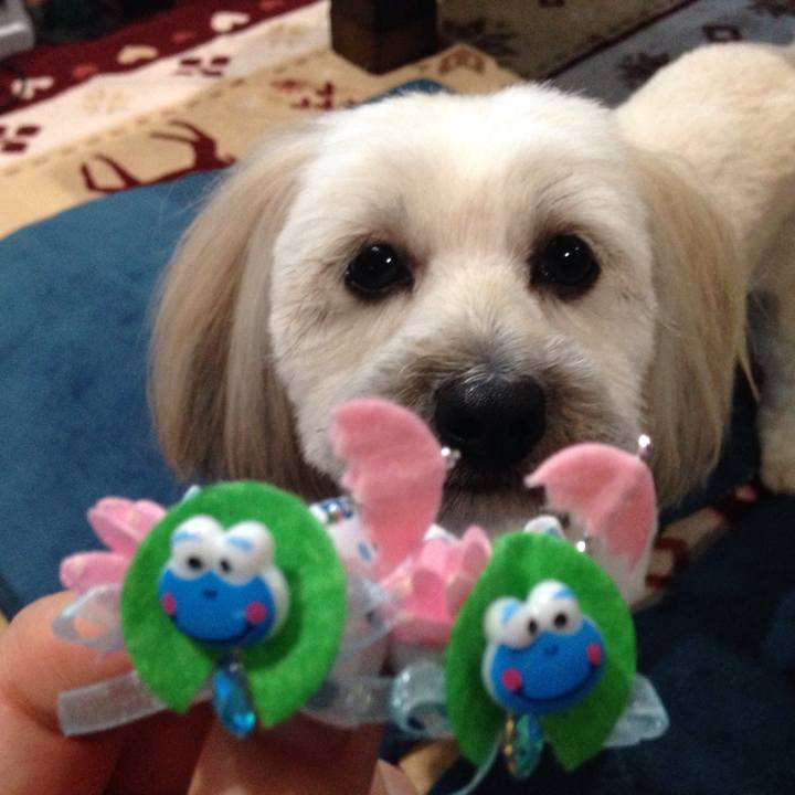 89b6fd81 69a2 473b a92d ecaf8932bd84