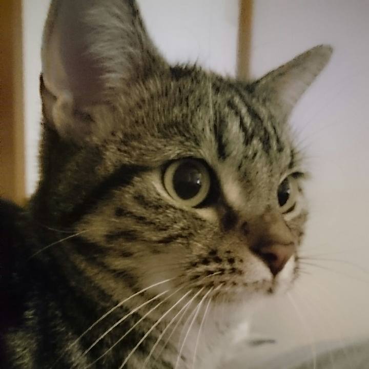 89b8121b a8ab 457e 9b78 65535b3606a4