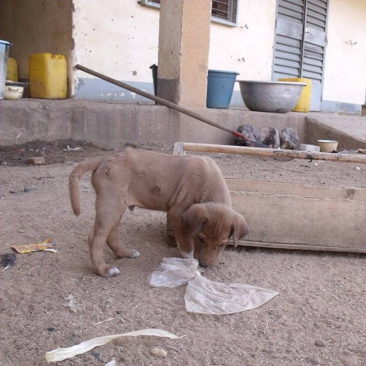 89b84123 397b 490d 85fd 362c29d58181