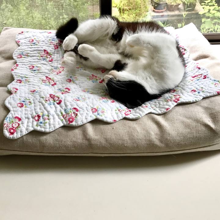 89b84eb8 411f 4c9f 81ee 34bf537c0fe3