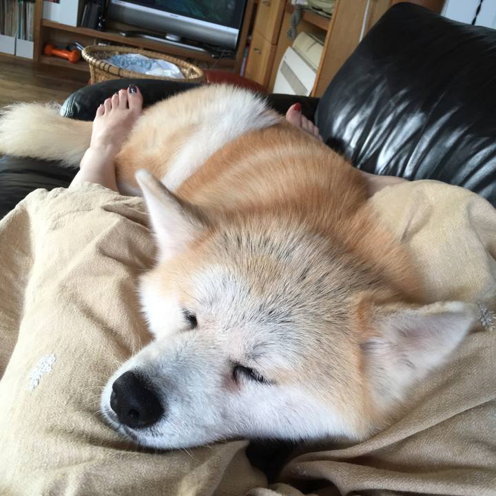 89b85966 88e1 43cf 953d 4f4c4fe94c1f