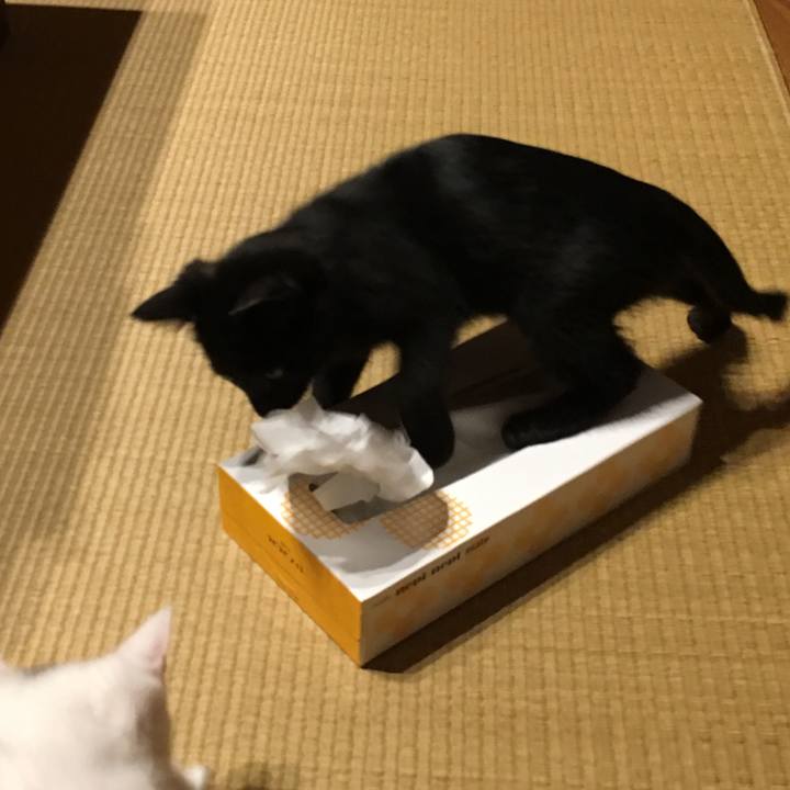 89b85fe4 b8ae 4b10 9987 f6c36ccae551