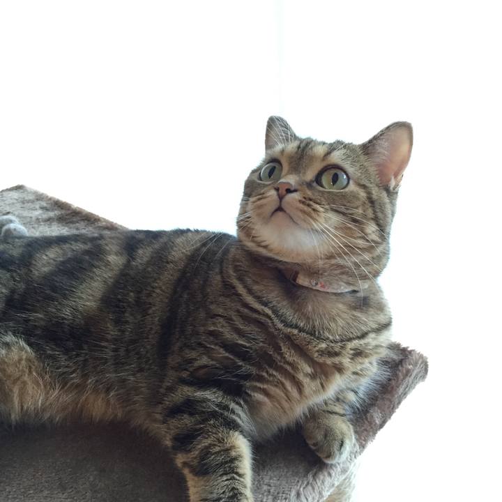 89b9572b 6878 43ed 8fd9 8e8cc453e49b