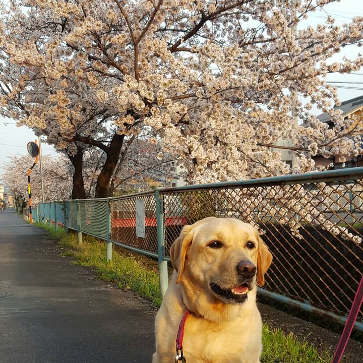 89b9bd5d e15a 40a0 b4e8 19448ca15aa1