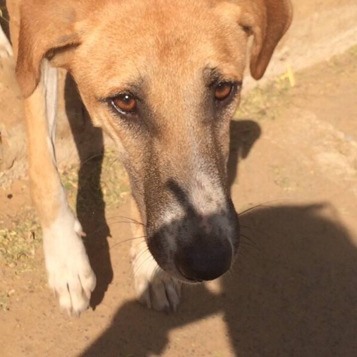 89b9d07d b9d8 4ed2 8d3f 0052cafadfba