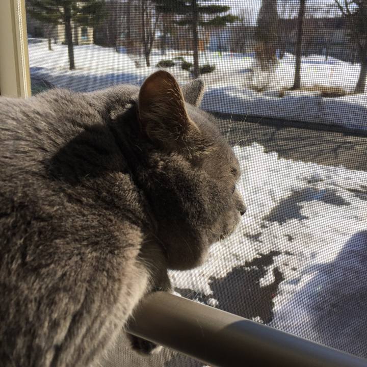 89ba17fb 8042 46e0 a06c be2a51cb0713