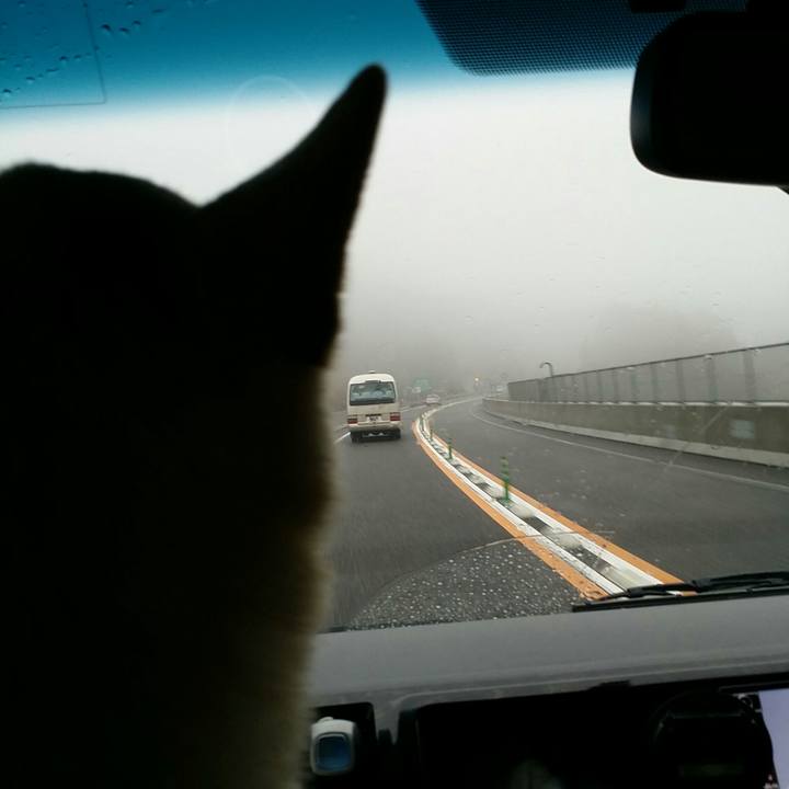 89ba22be 315b 47e9 846b 4468f2a95cf7