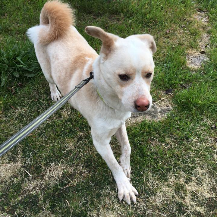 89bb5ad4 1638 436e 8b6d e7cf555fc880