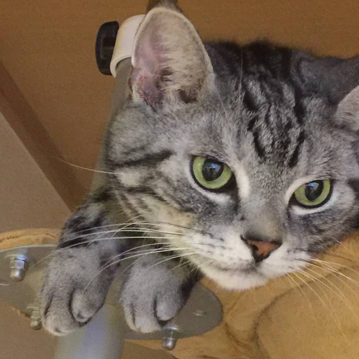 89bc5aaf 9cbe 423a 9ecb b6810204a907