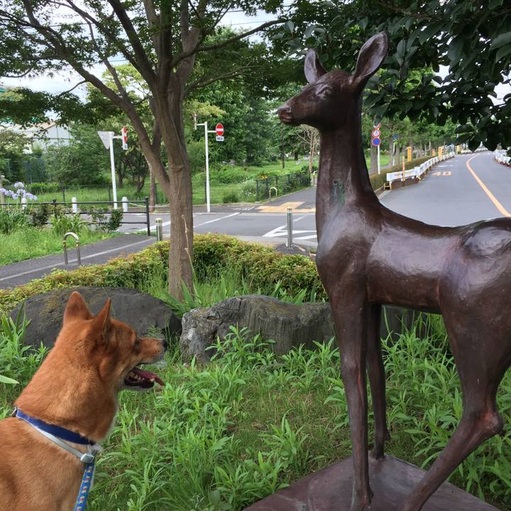 89bd0470 b864 400e 951c e9bbd4487c16