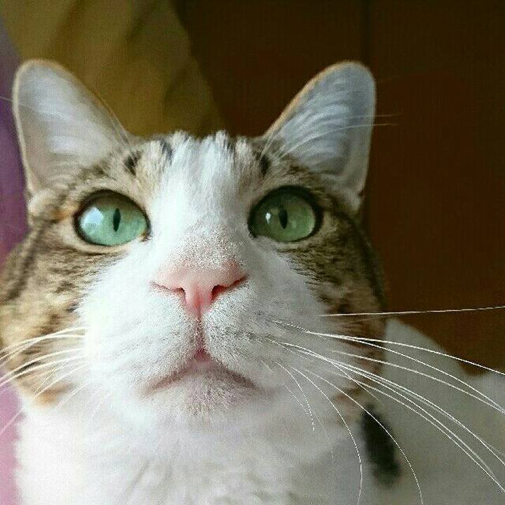 89bd04ee 20f0 4964 a71d bacc7f251106