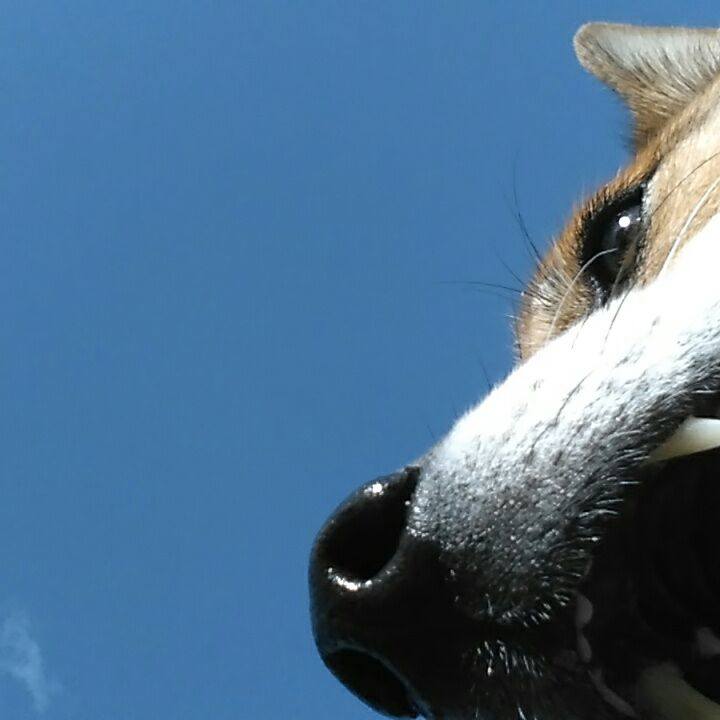 89bea352 5a09 4831 997d f518f3ad9643