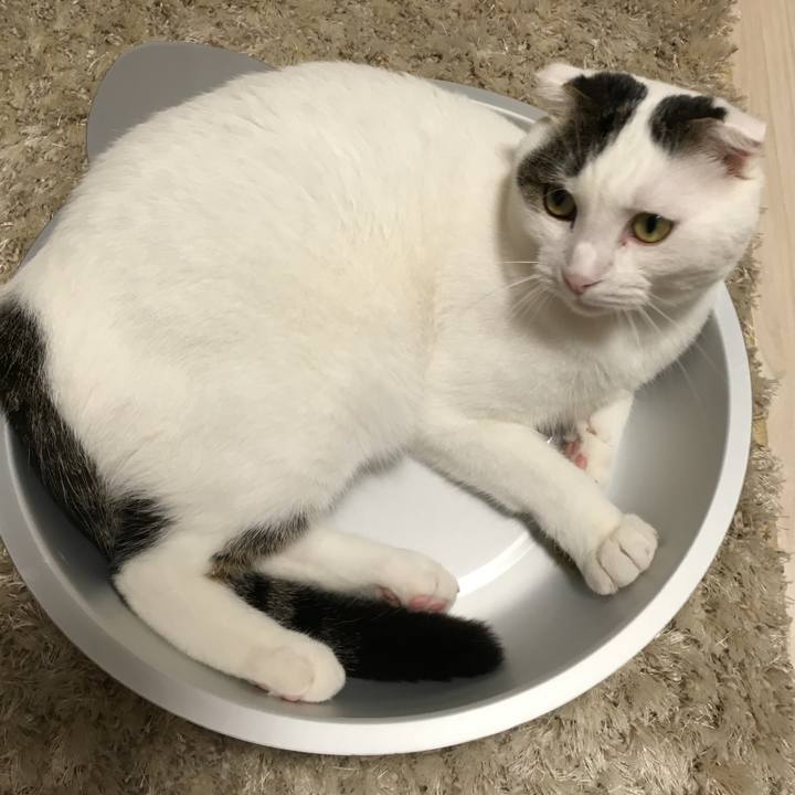 89becd9f 2015 411c a694 60e0eac5ee55