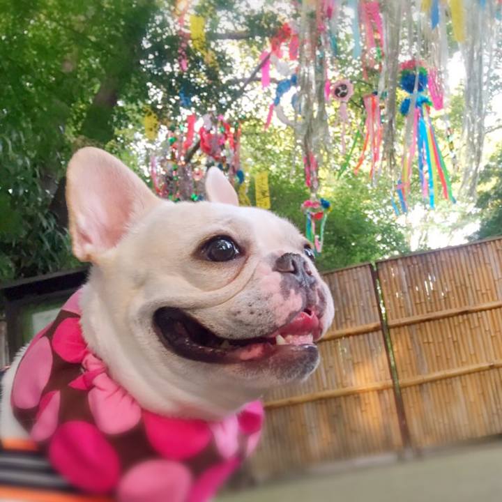 89bee1bc ced3 4696 9c8f 2fc1460776e6