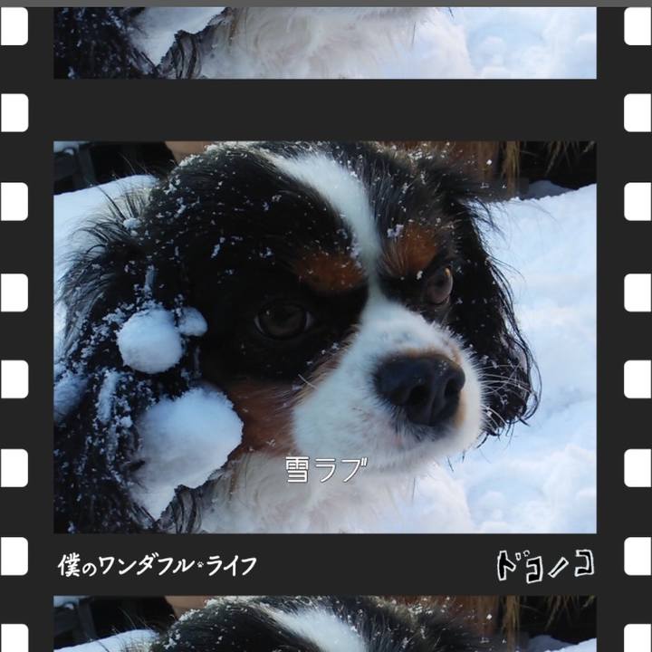 89bf7335 dbd3 45ee b01f 144bc66ec4e0