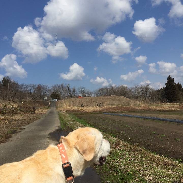 89bf75d1 d059 4e23 8728 a5377ce19978