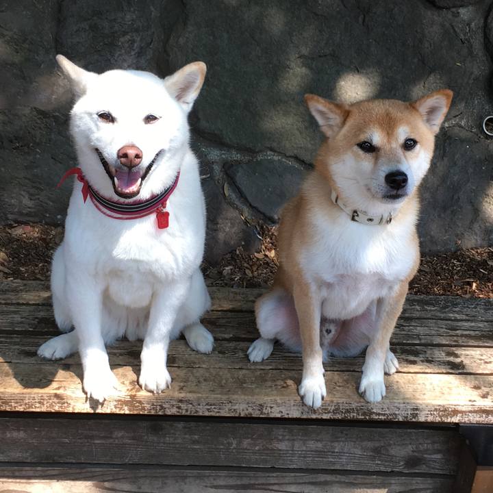 89bf83b9 6413 4997 87f0 4d1a3d8996e6