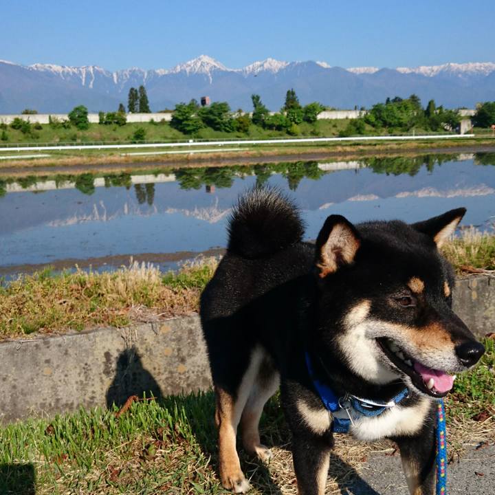 89bfd90c 751e 48a8 88d8 80a6ee3c56eb