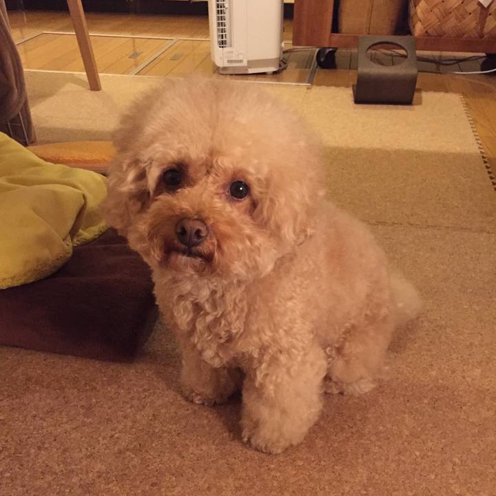 89c0a871 1ec4 40f0 892e b830dd7228c8